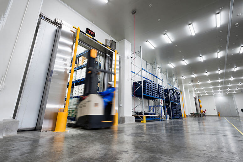 Bright cool room lighting improving workplace safety and visibility.